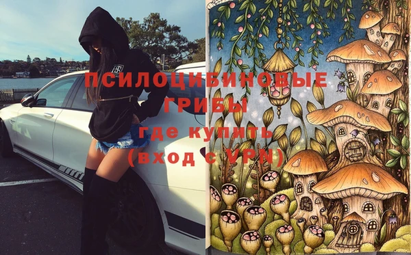 винт Михайловка